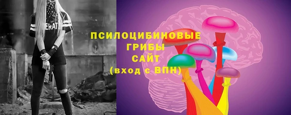 а пвп мука Алзамай