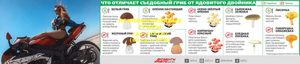 а пвп мука Алзамай