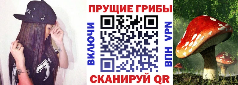 Псилоцибиновые грибы мухоморы  Нурлат 