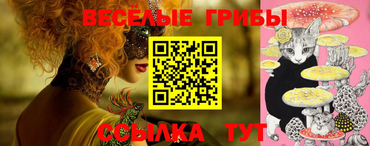Галлюциногенные грибы Psilocybine cubensis Нурлат